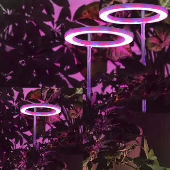 Halka LED bitki büyümek ışık bitki büyüme lambası kapalı saksı bitkileri büyüyen Led lamba etli masaüstü hidroponik büyüyen Led