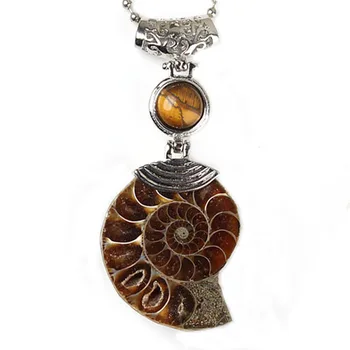 KFT Doğal Kristal Cabochon Taş Ammonit Deniz Kabuğu Salyangoz Okyanus Reliquiae Kabuklu Hayvan Kolye Kadın Erkek Takı