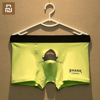 Youpin 2 adet Marka erkek iç çamaşırı Saf Pamuk Erkekler baksır şort Nem Emici Elastik Erkek Külot Karikatür Köpekbalığı Külot